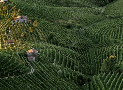 colline prosecco